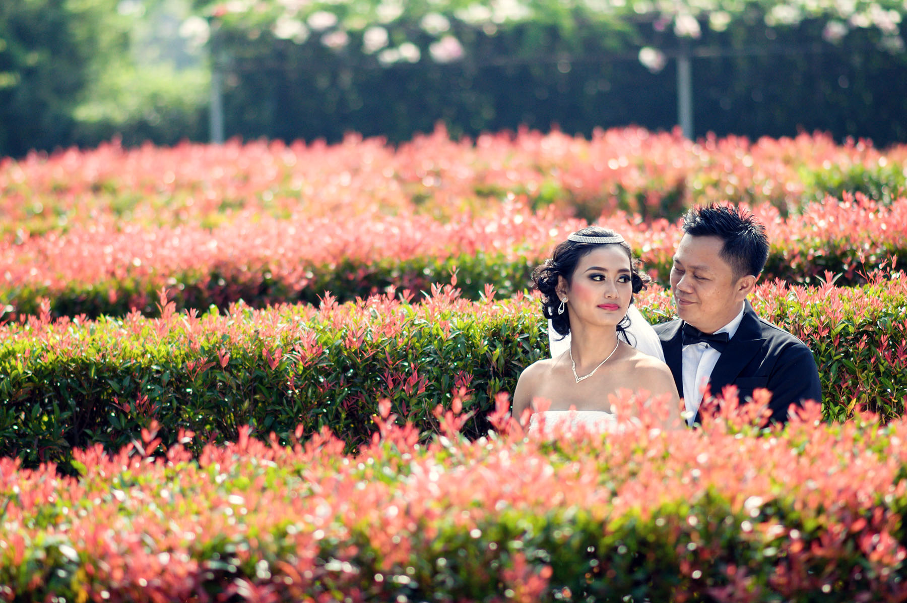 10 Gambar Taman Bunga Cianjur, Harga Tiket Masuk, Lokasi Alamat, Jam Buka Tutup + Fasilitas di Sekitar Area 2