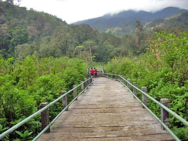 10 Gambar Air Terjun Cibeureum, Harga Tiket Masuk, Lokasi Alamat, Misteri Mitos, Total Ketinggian, Hotel di Sekitar + Rute Jalan Menuju ke Sana 5 10 Gambar Air Terjun Cibeureum, Harga Tiket Masuk, Lokasi Alamat, Misteri Mitos, Total Ketinggian, Hotel di Sekitar + Rute Jalan Menuju ke Sana 5