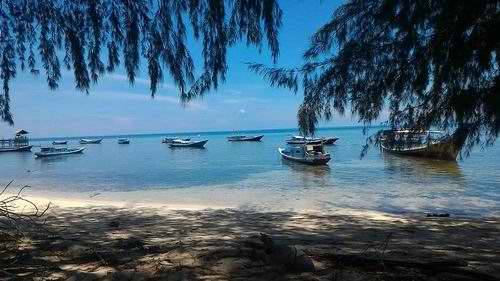 10 Gambar Pulau Kapoposang Makassar, Lokasi Alamat, Penginapan di Sekitar Area + Rute Jalan Menuju Wisata 9