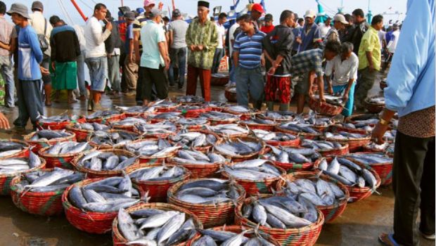 10 Gambar Pelabuhan Paotere Makassar, Lokasi Alamat, Pelelangan Ikan + Akses Jalan Menuju ke Sana 3 10 Gambar Pelabuhan Paotere Makassar, Lokasi Alamat, Pelelangan Ikan + Akses Jalan Menuju ke Sana 3