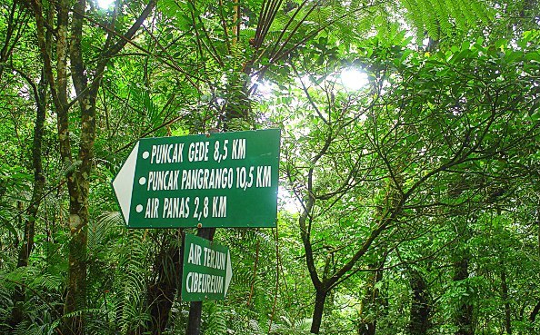 10 Gambar Air Terjun Cibeureum, Harga Tiket Masuk, Lokasi Alamat, Misteri Mitos, Total Ketinggian, Hotel di Sekitar + Rute Jalan Menuju ke Sana 7 10 Gambar Air Terjun Cibeureum, Harga Tiket Masuk, Lokasi Alamat, Misteri Mitos, Total Ketinggian, Hotel di Sekitar + Rute Jalan Menuju ke Sana 7