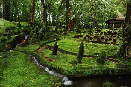 Beberapa Potret Taman Bunga Sakura di Kebun Raya Cibodas dan Berapa Harga Tiket Masuknya? 5 Beberapa Potret Taman Bunga Sakura di Kebun Raya Cibodas dan Berapa Harga Tiket Masuknya? 5