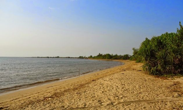 Jalan Menuju Wisata Pantai Pailus Jepara dan Potret Keindahan di Sekitar Area 1