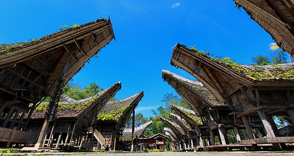 10 Gambar Ke Te Kesu Makassar, Lokasi Alamat, Penginapan Villa di Sekitar Wisata + Akses Jalan Menuju ke Sana 4