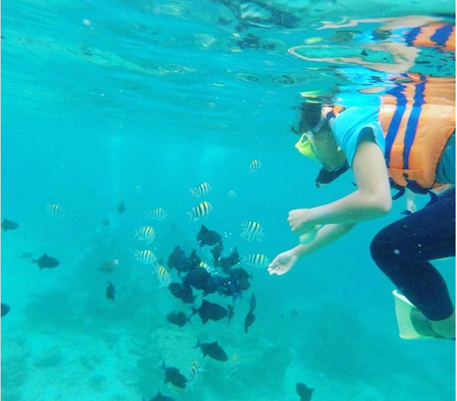 Pantai Iboih Aceh Surga Tersembunyi? Lihat Bukti ini 10