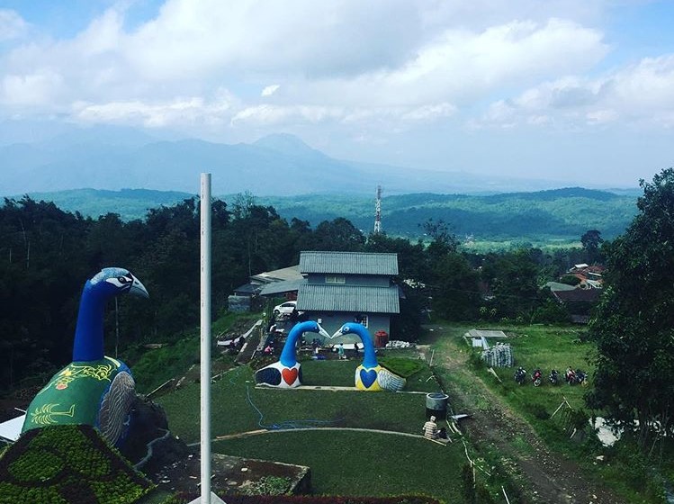 Taman Bunga dan Wisata Alam Legok Madu, Spot Foto Lagi Hits di Bandungan Semarang 2