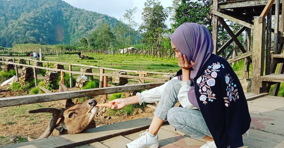 Penangkaran Rusa Gresik 6 Penangkaran Rusa Gresik 6