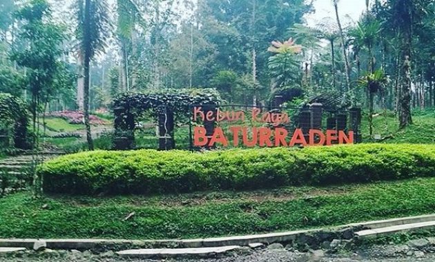 Kebun Raya Baturaden 22 Kebun Raya Baturaden