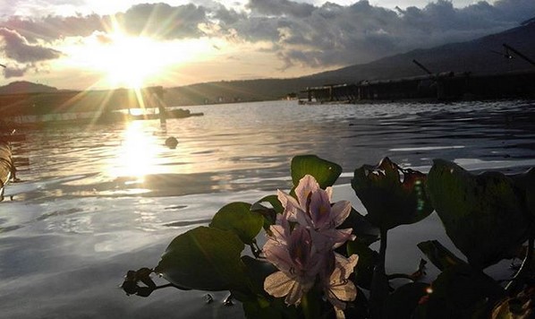 Waduk Darma Kuningan 1 Waduk Darma Kuningan 1