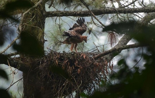 10 Gambar Lembah Cilengkrang Kuningan, Harga Tiket Masuk, Sejarah Legenda, Lokasi Alamat, Jam Buka Tutup Wisata + Misteri Mitos 9