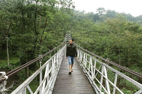 10 Gambar Jembatan Gantung Danawarih Tegal, Lokasi Alamat + Keindahan Sepanjang Perjalanan? 7
