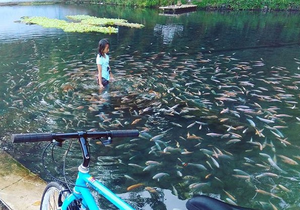 Pemandian Mata Air Senjoyo Salatiga Yang Masih Alami dan Kuno 10 Pemandian Mata Air Senjoyo Salatiga Yang Masih Alami dan Kuno 10