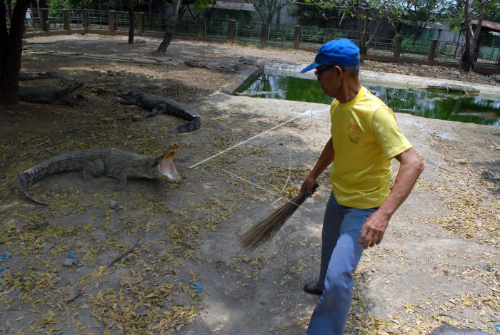 10 Gambar Taman Budaya Tangerang, Harga Tiket Masuk, Lokasi Alamat, Villa di Sekitar Wisata + Banyak Penangkaran 8 10 Gambar Taman Budaya Tangerang, Harga Tiket Masuk, Lokasi Alamat, Villa di Sekitar Wisata + Banyak Penangkaran 8