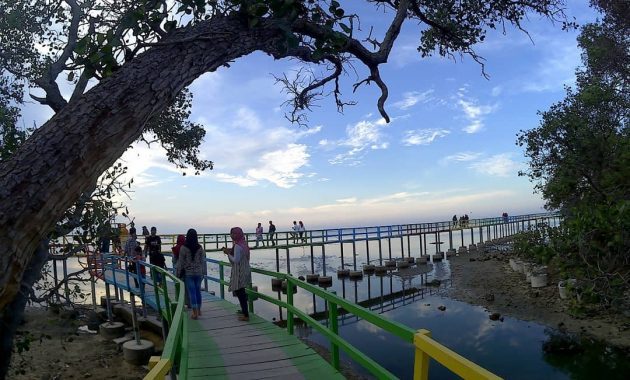 Berapa Harga Tiket Masuknya dan Apakah Benar Banyak "Kutang" di Lokasi Pantai Ini? 4 Pantai kutang lamongan paciran arah denah foto gambar gps jalan jalur letak lokasi tuban mitos 2021 daerah jawa timur dimana gresik itu jatim kabupaten kentong kulonan labuhan regency malang palang sido mukti alamat peta profil rute sejarah tempat wisata