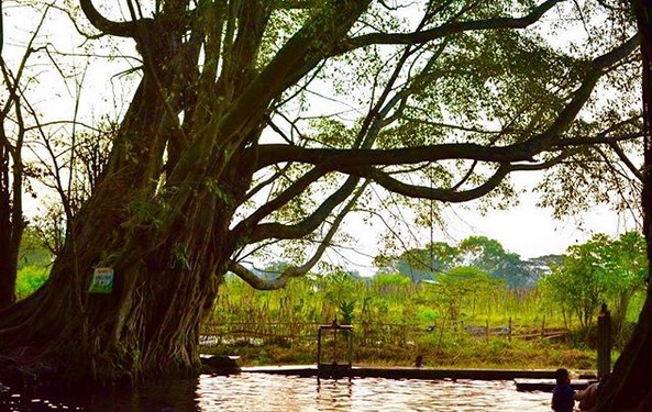 Misteri Dibalik Keindahan Umbul Manten 8 Misteri Dibalik Keindahan Umbul Manten 8