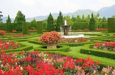 Menikmati Warna Warni di Taman Bunga Cihideung 3