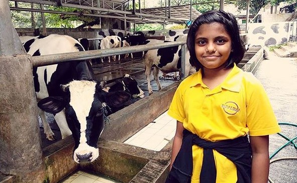 Cibubur Garden Diary, Agrowisata Edukasi yang Seru untuk Keluarga 1