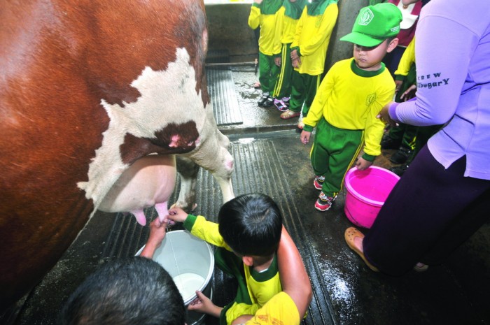 Cibubur Garden Diary, Agrowisata Edukasi yang Seru untuk Keluarga 4