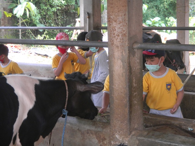 Cibubur Garden Diary, Agrowisata Edukasi yang Seru untuk Keluarga 5