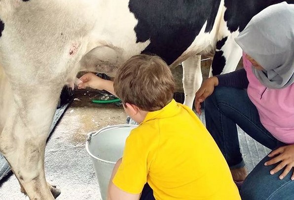 Cibubur Garden Diary, Agrowisata Edukasi yang Seru untuk Keluarga 6