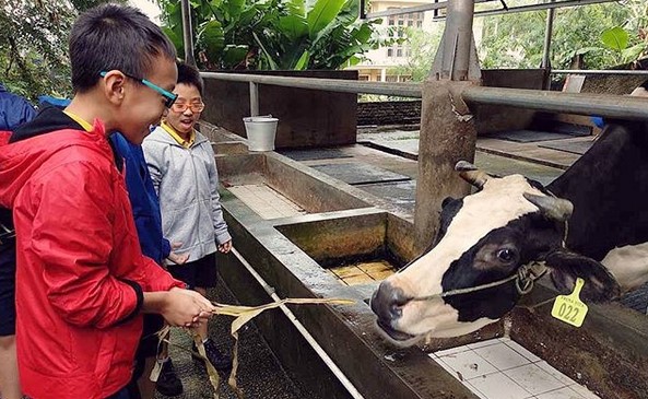 Cibubur Garden Diary, Agrowisata Edukasi yang Seru untuk Keluarga 9