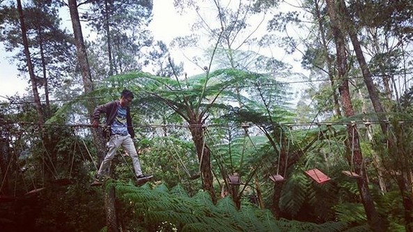 Ingin Merasakan Sensasi Wisata Alam Tak Biasa? Ciwangun Indah Camp Bisa Jadi Opsi Menarik 7