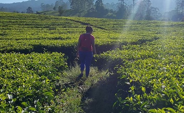 Ingin Merasakan Sensasi Wisata Alam Tak Biasa? Ciwangun Indah Camp Bisa Jadi Opsi Menarik 8