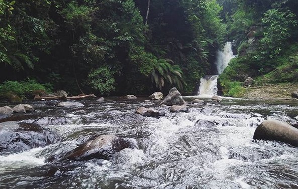 Ingin Merasakan Sensasi Wisata Alam Tak Biasa? Ciwangun Indah Camp Bisa Jadi Opsi Menarik 9