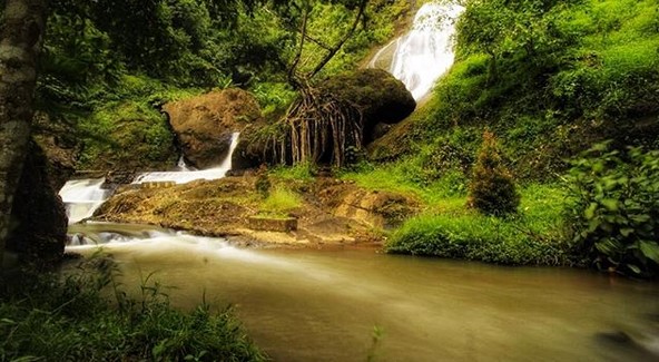 Curug Winong Wonosobo, Air Terjun Tersembunyi yang Menghadirkan Nuansa Hutan dan Pegunungan 3