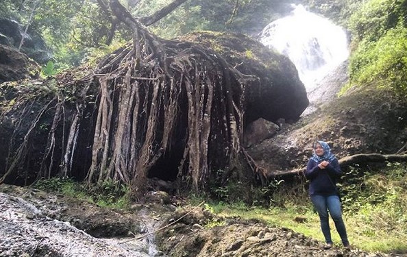 Curug Winong Wonosobo, Air Terjun Tersembunyi yang Menghadirkan Nuansa Hutan dan Pegunungan 8