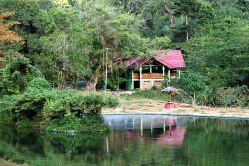 Jelajah Keindahan Alam Desa Wisata Sari Bunihayu Subang 1