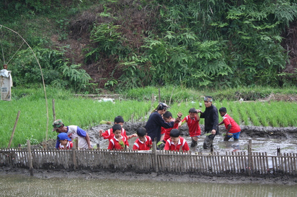 Jelajah Keindahan Alam Desa Wisata Sari Bunihayu Subang 3