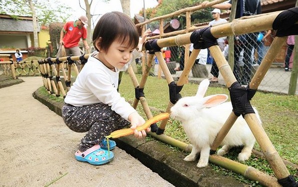 Pasar Terapung, Wisata Rekreasi Lembang yang Memanjakan Mata 8 Pasar Terapung, Wisata Rekreasi Lembang yang Memanjakan Mata 8