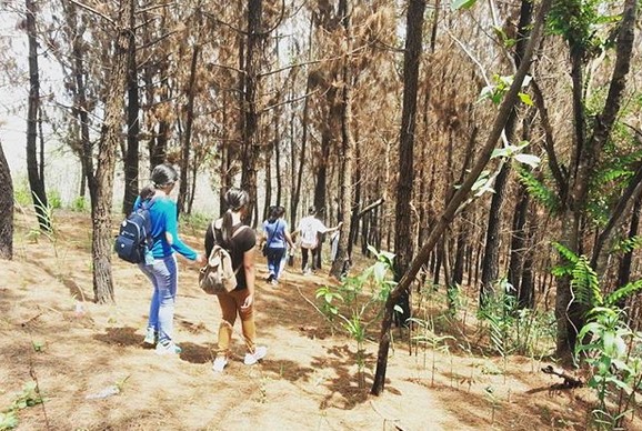 Keindahan Tradisional Bersama Kampung Cireundeu 5