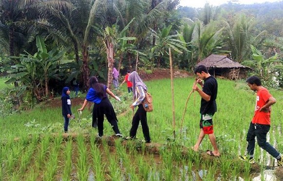Menguak Keunikan Kampung Kuta Ciamis, Punya Seribu Pantangan Yang Justru Menjadi Daya Tarik Wisatawan 5 Menguak Keunikan Kampung Kuta Ciamis, Punya Seribu Pantangan Yang Justru Menjadi Daya Tarik Wisatawan 5