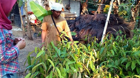 Menguak Keunikan Kampung Kuta Ciamis, Punya Seribu Pantangan Yang Justru Menjadi Daya Tarik Wisatawan 7 Menguak Keunikan Kampung Kuta Ciamis, Punya Seribu Pantangan Yang Justru Menjadi Daya Tarik Wisatawan 7
