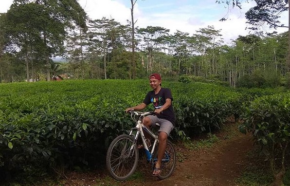 Kebun Teh Tambi Wonosobo, Wisata Alam Menakjubkan yang Patut Dikunjungi 2