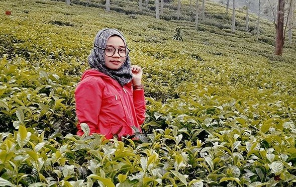 Pesona Indahnya Kebun Teh Jamus Ngawi dan Spot Borobudur Hills Yang Hits Banget 1