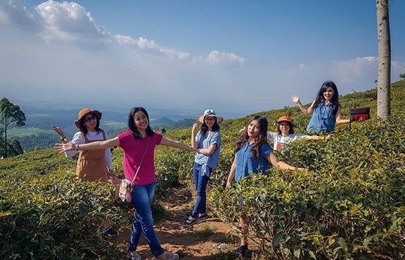 Pesona Indahnya Kebun Teh Jamus Ngawi dan Spot Borobudur Hills Yang Hits Banget 2