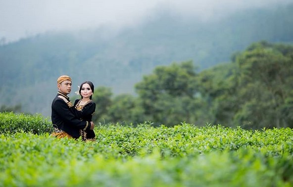 Pesona Indahnya Kebun Teh Jamus Ngawi dan Spot Borobudur Hills Yang Hits Banget 6
