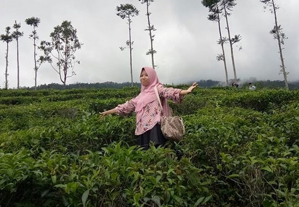 Pesona Indahnya Kebun Teh Jamus Ngawi dan Spot Borobudur Hills Yang Hits Banget 7