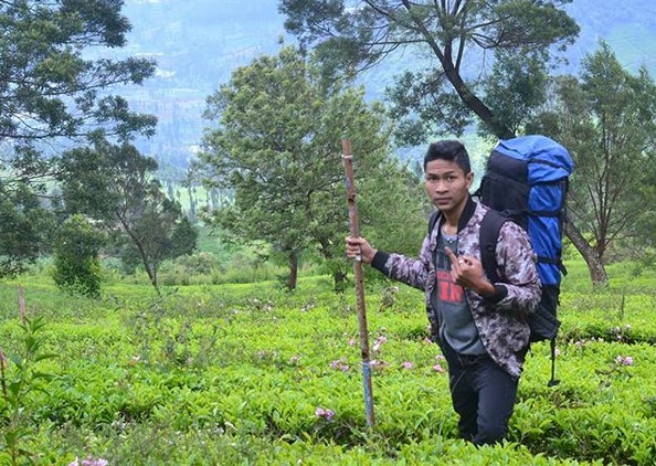 Kebun Teh Tambi Wonosobo, Wisata Alam Menakjubkan yang Patut Dikunjungi 6