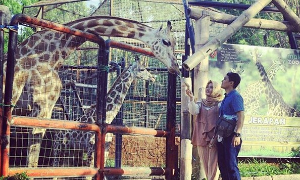 Berwisata Sembari Belajar Satwa! Maharani Zoo & Goa Lamongan Alternatifnya 4