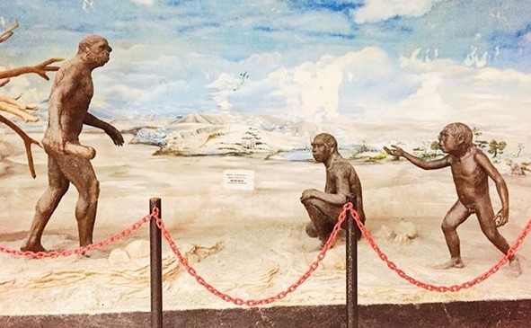 Mau Tahu Nenek Moyang Kita Sesungguhnya? Yuk ke Museum Trinil Ngawi 3