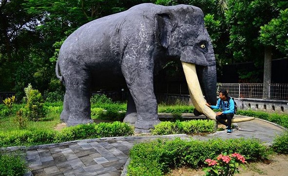 Mau Tahu Nenek Moyang Kita Sesungguhnya? Yuk ke Museum Trinil Ngawi 8