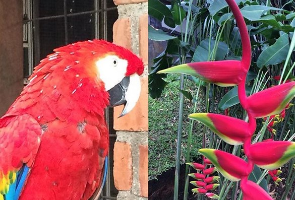 Paku Haji, Keindahan Pada Sudut Pandang Lain Kota Bandung 5 Paku Haji, Keindahan Pada Sudut Pandang Lain Kota Bandung 5