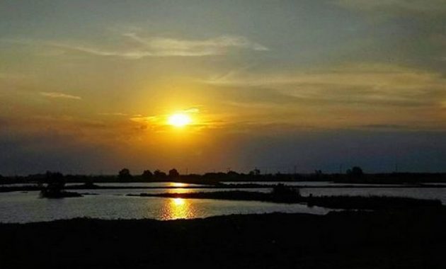 Menikmati Pemandangan Sunset di Pantai Dadap Indramayu, dan Berapa Harga Tiket Masuknya? 6 Pantai dadap dadapan tangerang tulungagung ayam indah alamat jual gudang dijual jalur kode pos kuliner letak lokalisasi lokasi gunung kidul batam blitar cengkareng indramayu kabupaten jawa timur langu langun lombok malang indonesia gunungkidul banjir map peta tanggerang kapuk muara pasir putih pertamina pondokdadap selok pelabuhan perikanan pergudangan kecamatan kosambi reklamasi restoran rute seafood sewa wisata