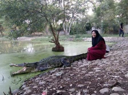 Menikmati Atraksi Menggemaskan Buaya Baron dan Jack di Penangkaran Buaya Subang 5 Menikmati Atraksi Menggemaskan Buaya Baron dan Jack di Penangkaran Buaya Subang 5