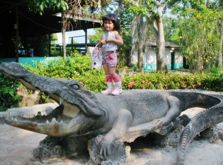 Menikmati Atraksi Menggemaskan Buaya Baron dan Jack di Penangkaran Buaya Subang 10 Menikmati Atraksi Menggemaskan Buaya Baron dan Jack di Penangkaran Buaya Subang 10