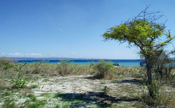 Pulau Kera NTT, Surga Tersembunyi Penuh Misteri di Pinggiran Kupang 10